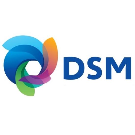DSM